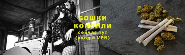 спайс Бородино