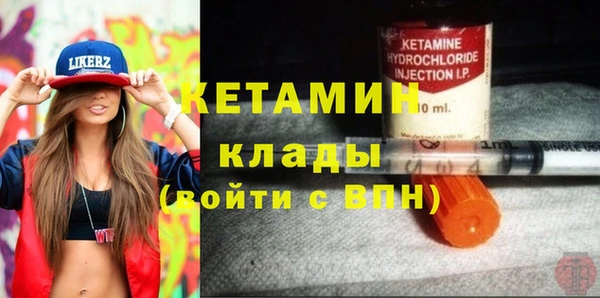 прущие грибы Бронницы