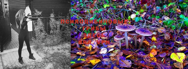 МДМА Богданович