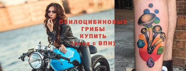 спайс Бородино